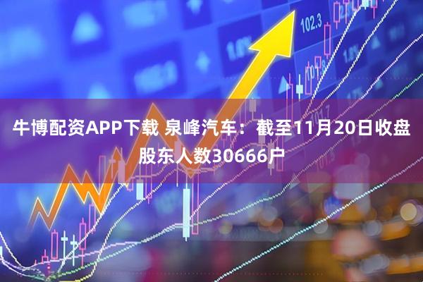 牛博配资APP下载 泉峰汽车：截至11月20日收盘股东人数30666户