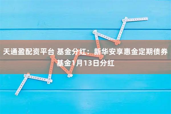 天通盈配资平台 基金分红：新华安享惠金定期债券基金1月13日分红