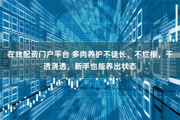 在线配资门户平台 多肉养护不徒长、不烂根，干透浇透，新手也能养出状态
