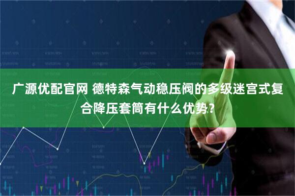 广源优配官网 德特森气动稳压阀的多级迷宫式复合降压套筒有什么优势？